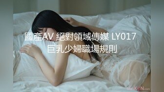 國產AV 絕對領域傳媒 LY017 巨乳少婦職場規則