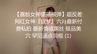 淫荡人妻的上下动作