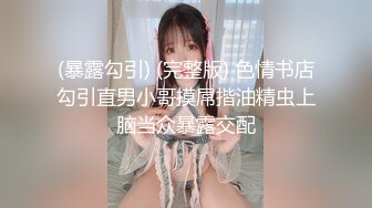 女仆主题系列第一集 看热度出二三集。