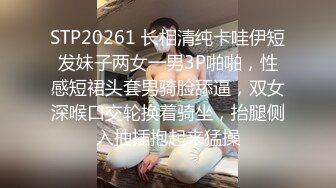 【AI换脸视频】刘亦菲  女优面试员