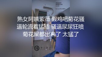   极品E奶淫荡少妇戶外露出与小鮮肉深喉爆拳交顏射