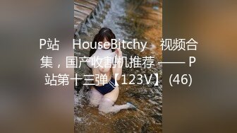 P站⭐ HouseBitchy ⭐视频合集，国产收割机推荐 —— P站第十三弹【123V】 (46)