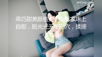 漂亮巨乳女友