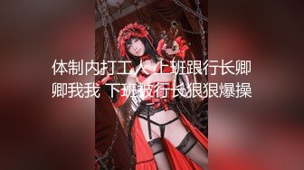 漂亮美眉车震