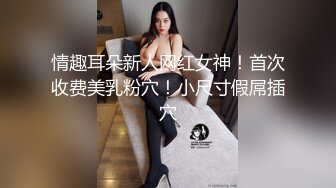 情趣耳朵新人网红女神！首次收费美乳粉穴！小尺寸假屌插穴