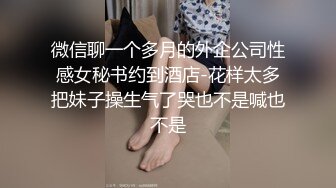 骚老婆（互换视频）