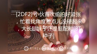 最新11月付费群更新，极品小情侣【D先生和C小姐】暴力性爱美学，骚婊呻吟声一绝 (2)