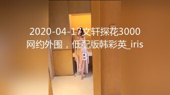 2020-04-17文轩探花3000网约外围，低配版韩彩英_iris3