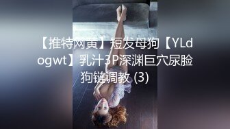 国产麻豆AV 麻豆女神微爱影片 窈窕姿色 旗袍诱惑 韩依人