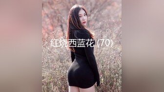 红烧西蓝花 (70)