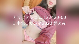 カリビアンコム 122420-001 中出しサンタ2020 碧えみ