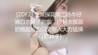 国产麻豆AV MSD MSD055 淫 许愿精灵 袁子仪