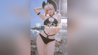 MDX-0153视讯会议的打扰-沈娜娜