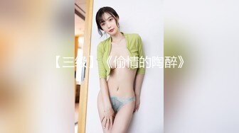 林雅诗 大田友美《big波诱惑》露电片段1clip_by_海盗路飞