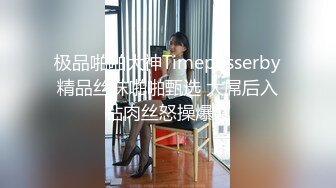 极品啪啪大神Timepasserby精品丝袜啪啪甄选 大屌后入钻肉丝怒操爆菊