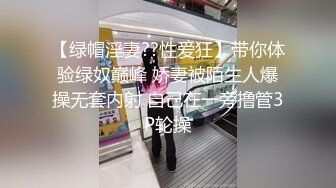 琅琊套后入