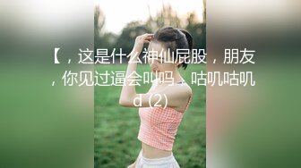   OL风小西装美少妇，拔下裤子里面穿着丁字裤，大肚子猥琐男腰操逼，骚穴骑乘自己动，射的太快无法满足，振动棒抽插自慰