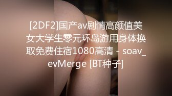 (no_sex)20231204_美丽的女秘书_351599509