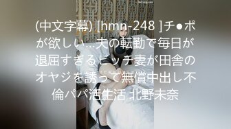 (中文字幕) [hmn-248 ]チ●ポが欲しい…夫の転勤で毎日が退屈すぎるビッチ妻が田舎のオヤジを誘って無償中出し不倫パパ活生活 北野未奈