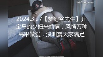 2024.3.27【梦幻谷先生】开宝马的少妇来偷情，风情万种高跟做爱，浪叫震天求满足