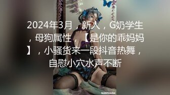 麻豆传媒 MD-0105痴汉尾随强制性交变态男迷奸清纯少女