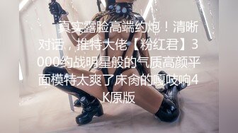 奔馳哥的迷人母狗小情婦，舔狗壹樣，坐在副駕駛伸進短裙裏扣茓108P+3V