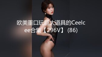 欧美重口玩巨大道具的Ceelcee合集【296V】 (86)