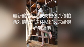 香蕉视频.XJX0088.喵十四.美艳空姐，操不够10次不要钱