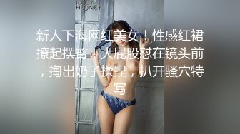 新人下海网红美女！性感红裙撩起摆臀！大屁股怼在镜头前，掏出奶子揉捏，扒开骚穴特写