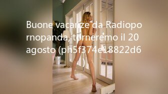 Buone vacanze da Radiopornopanda, torneremo il 20 agosto (ph5f374e18822d6)