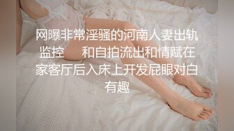 河南少妇，嘿咻