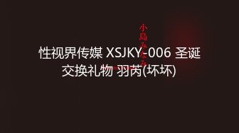 性视界传媒 XSJKY-006 圣诞交换礼物 羽芮(坏坏)